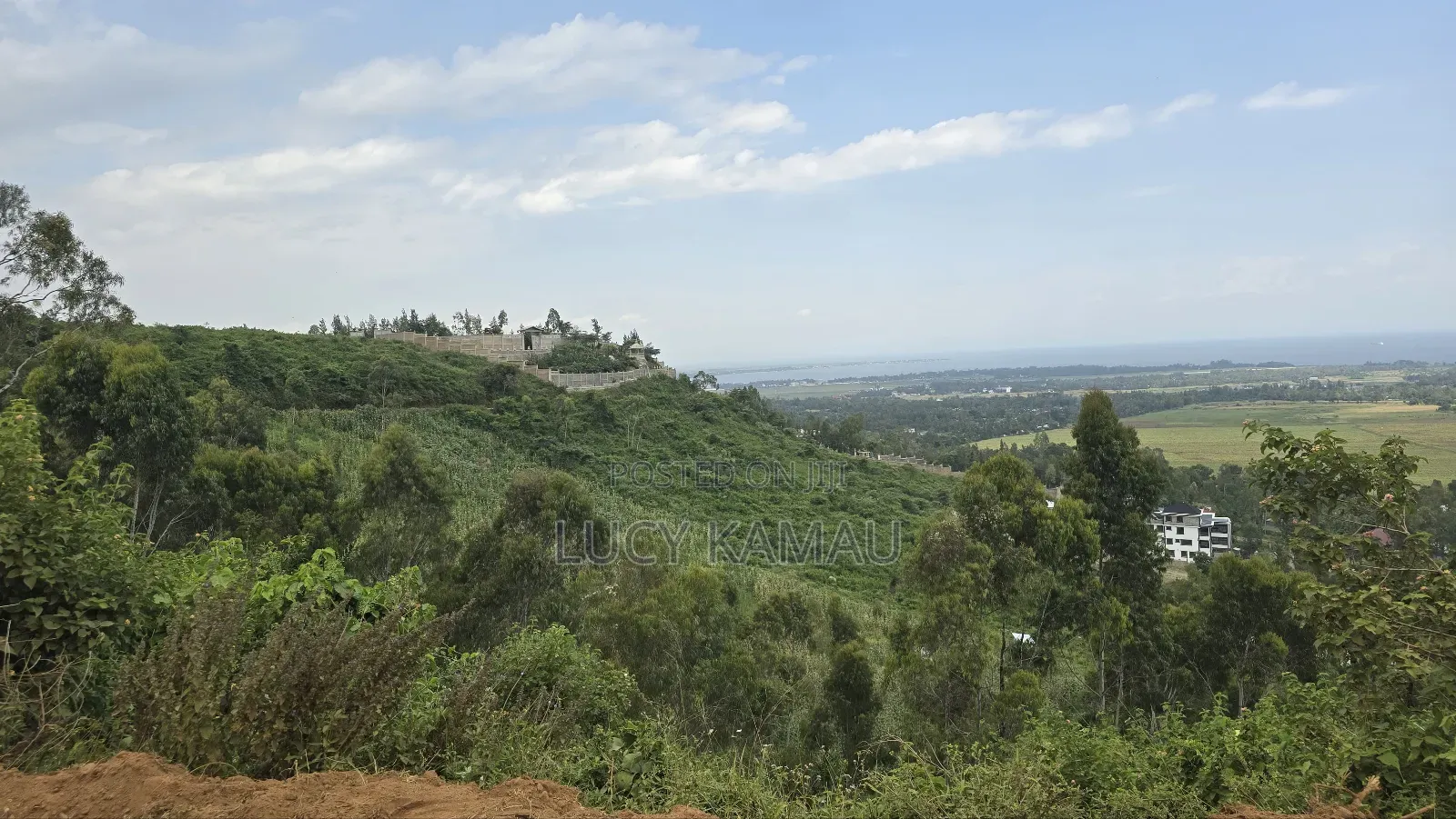 Prime Kisumu Hills Plot – 1⁄8 Acre With Title Deed