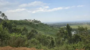Prime Kisumu Hills Plot – 1⁄8 Acre With Title Deed