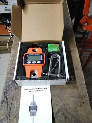 Commercial 300kg Mini Crane / Available Mini Crane - main view