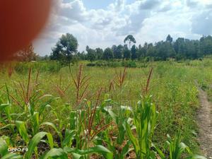 Quick Sale for 1/2 Acre in Makutano - thumbnail 2