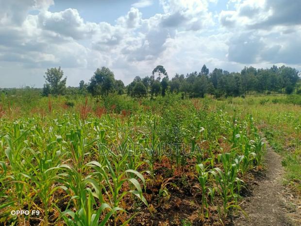 Quick Sale for 1/2 Acre in Makutano - thumbnail 3