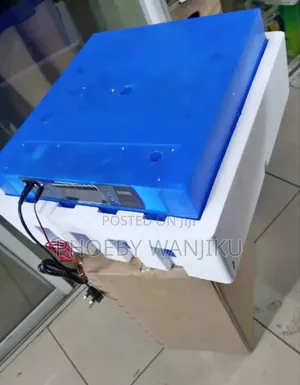 Egg Incubator/64egg Incubator