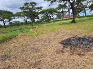 Scenic 6 Acre Land in 2 Titles of 3 Acres in Kandisi