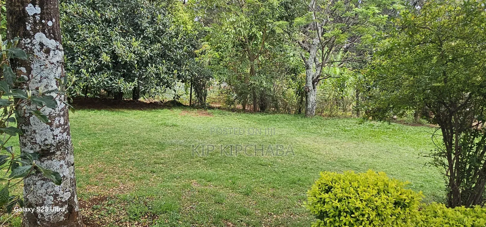 8bdrm Mansion in Elgonview for sale