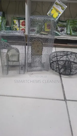 Mouse Traps