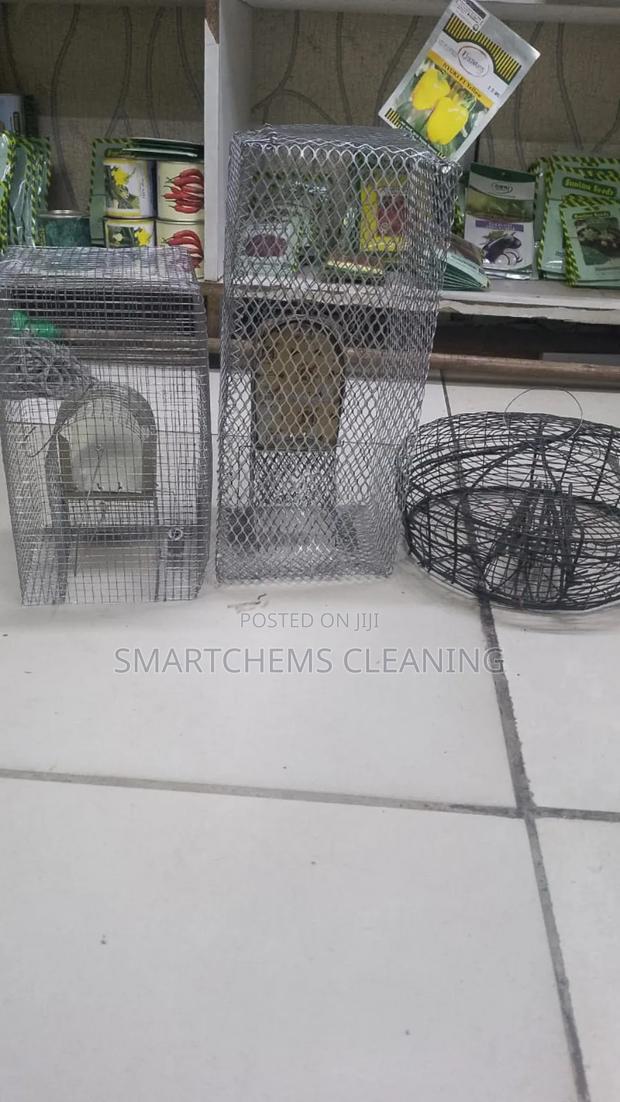 Mouse Traps