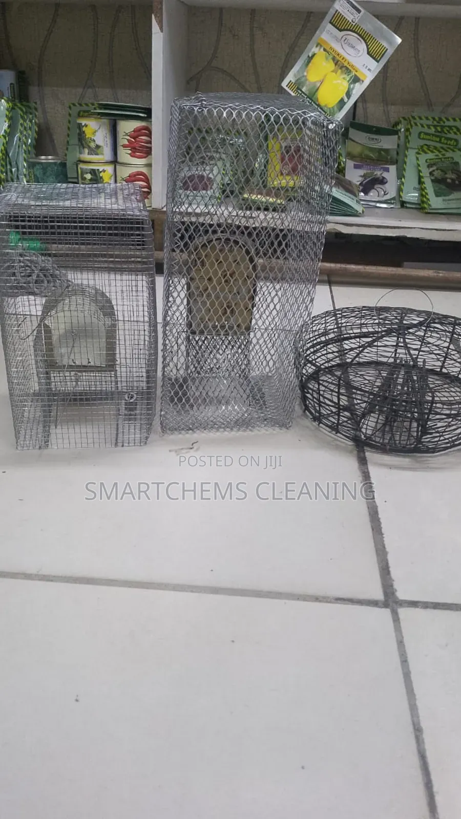 Mouse Traps