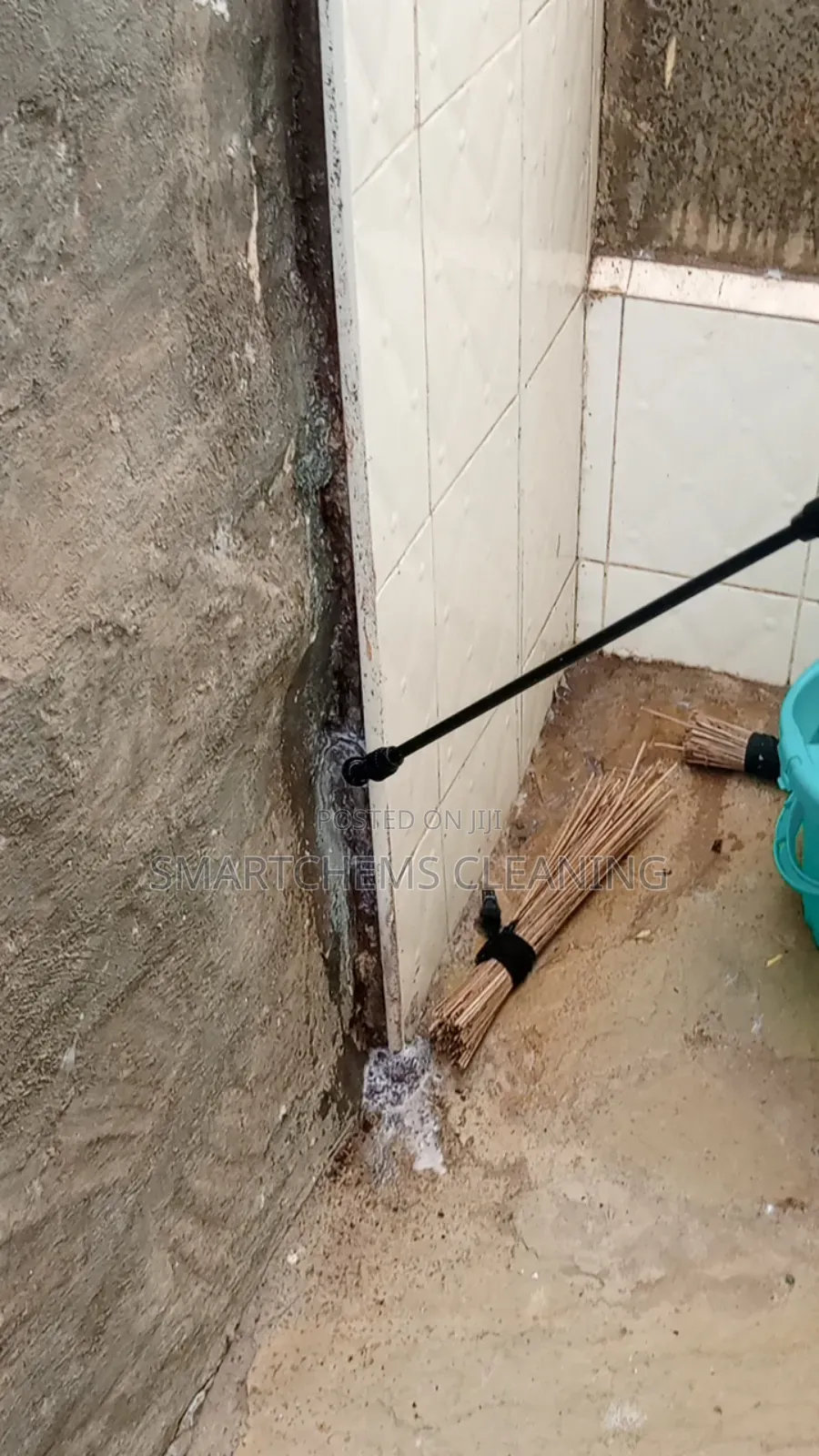 Termites Control Services
