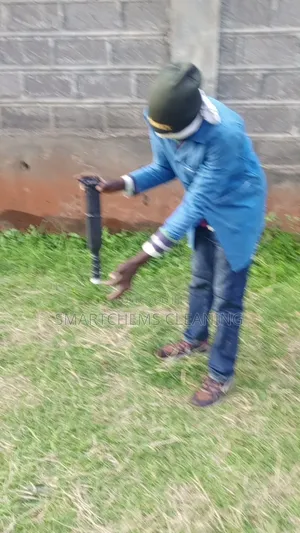 Termites Control Services