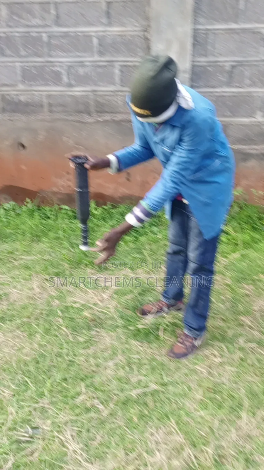 Termites Control Services