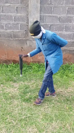 Termites Control Services