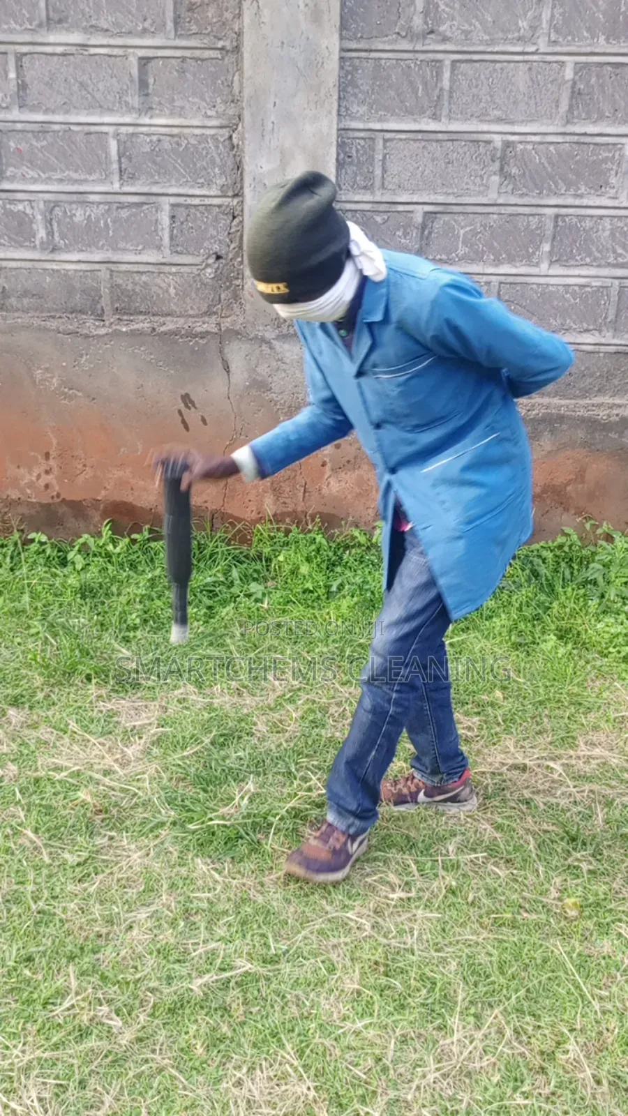 Termites Control Services