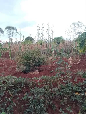 Machakos 1acres and a Quarter -Kwa Mutisya Wangomali