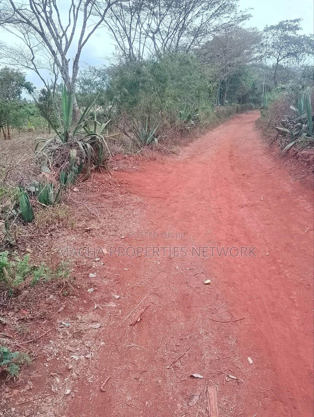 Machakos 1acres and a Quarter -Kwa Mutisya Wangomali