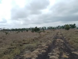 Konza 6 Plots Onsale Joined -Price 1.8m.