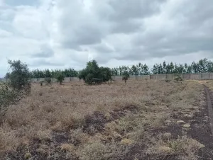 Konza 6 Plots Onsale Joined -Price 1.8m.