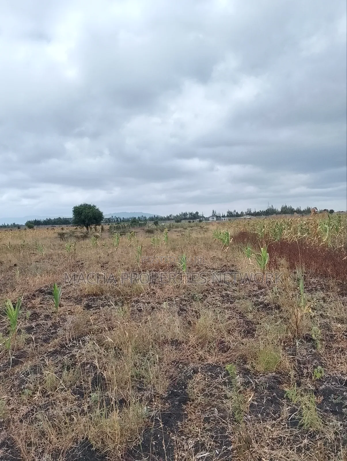 Konza 6 Plots Onsale Joined -Price 1.8m.