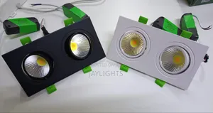 Adjustable Led Recessed Spotlights Single Double Heads