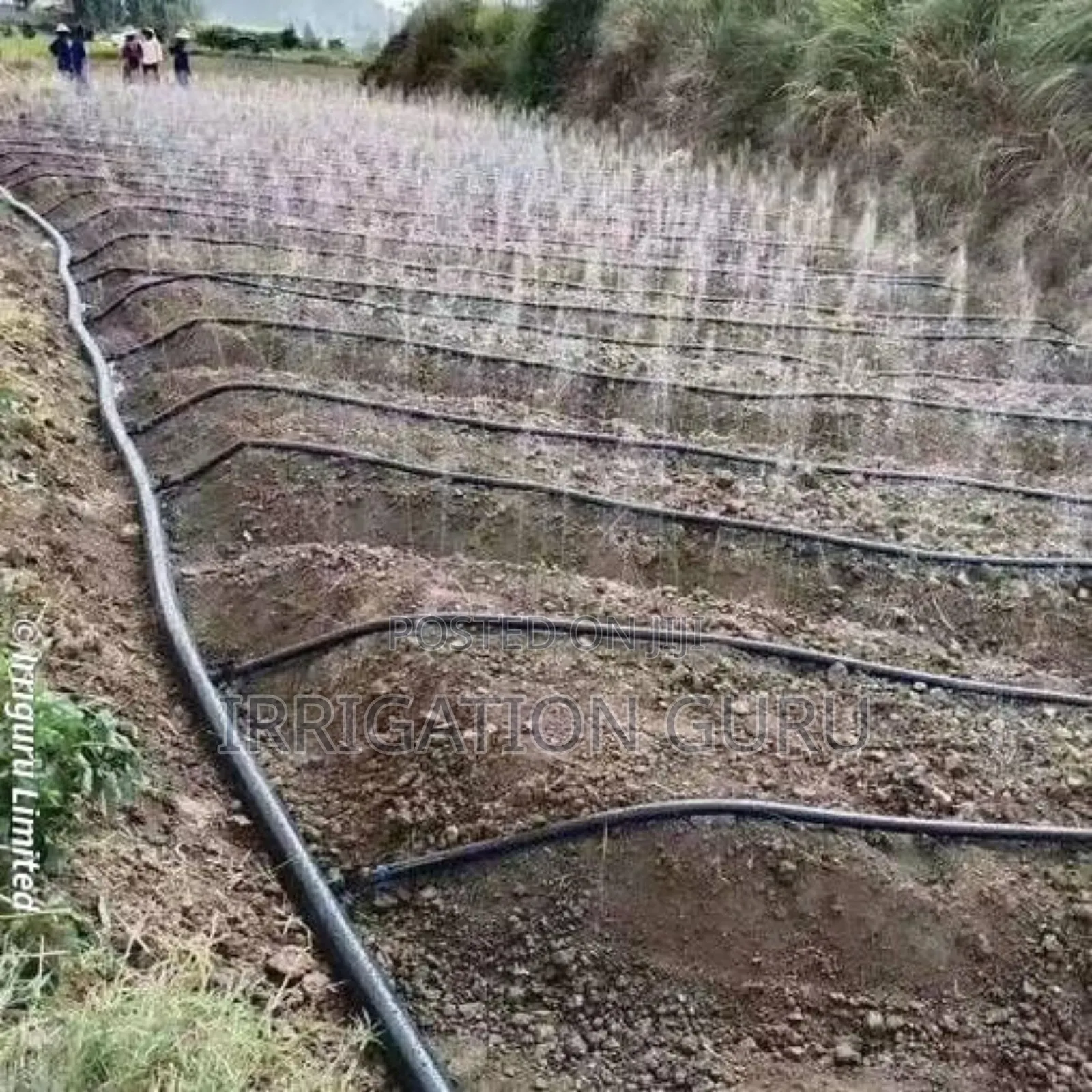 Spray Hose