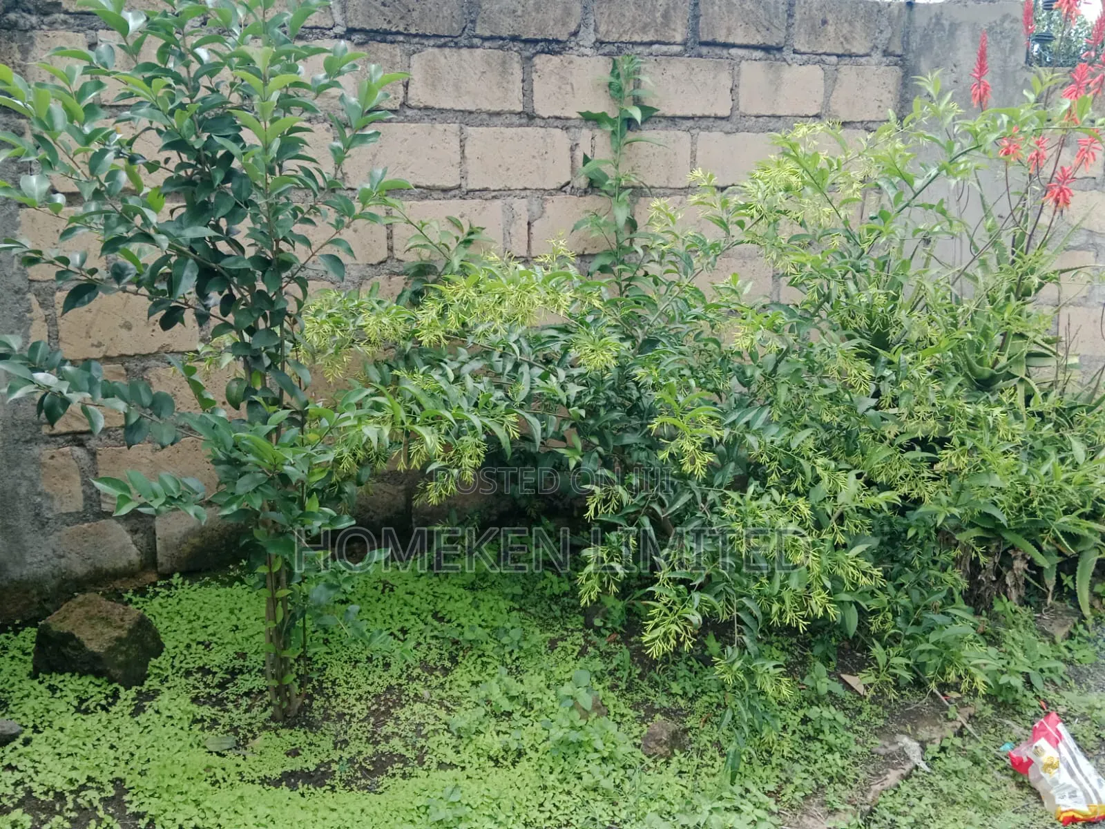 4bdrm Bungalow in Kiserian Town for rent