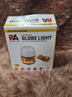 Red Arrow 110v 30w Led Globe Light.
