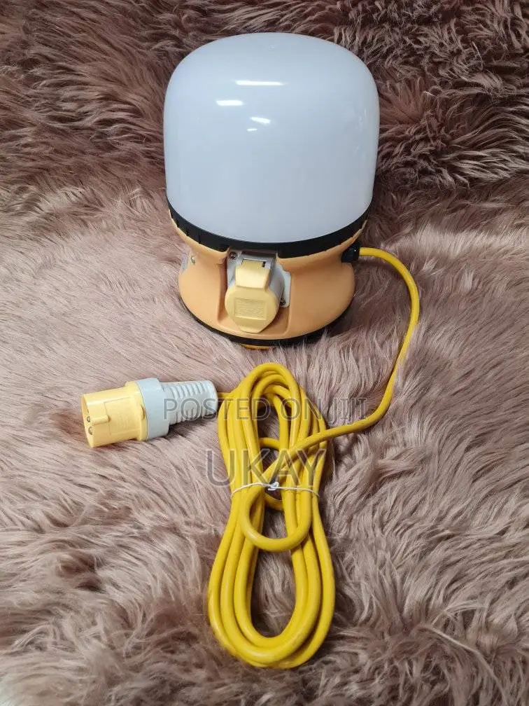 Red Arrow 110v 30w Led Globe Light.