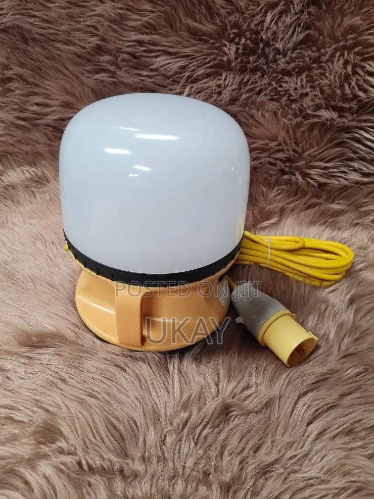 Red Arrow 110v 30w Led Globe Light.
