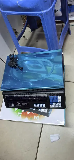 Digital Weighing Scale 30kg /