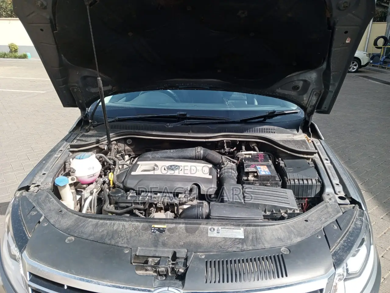 Volkswagen Passat SEL Premium 4dr Sedan (1.8L 4cyl Turbo 6A) 2014 Gray