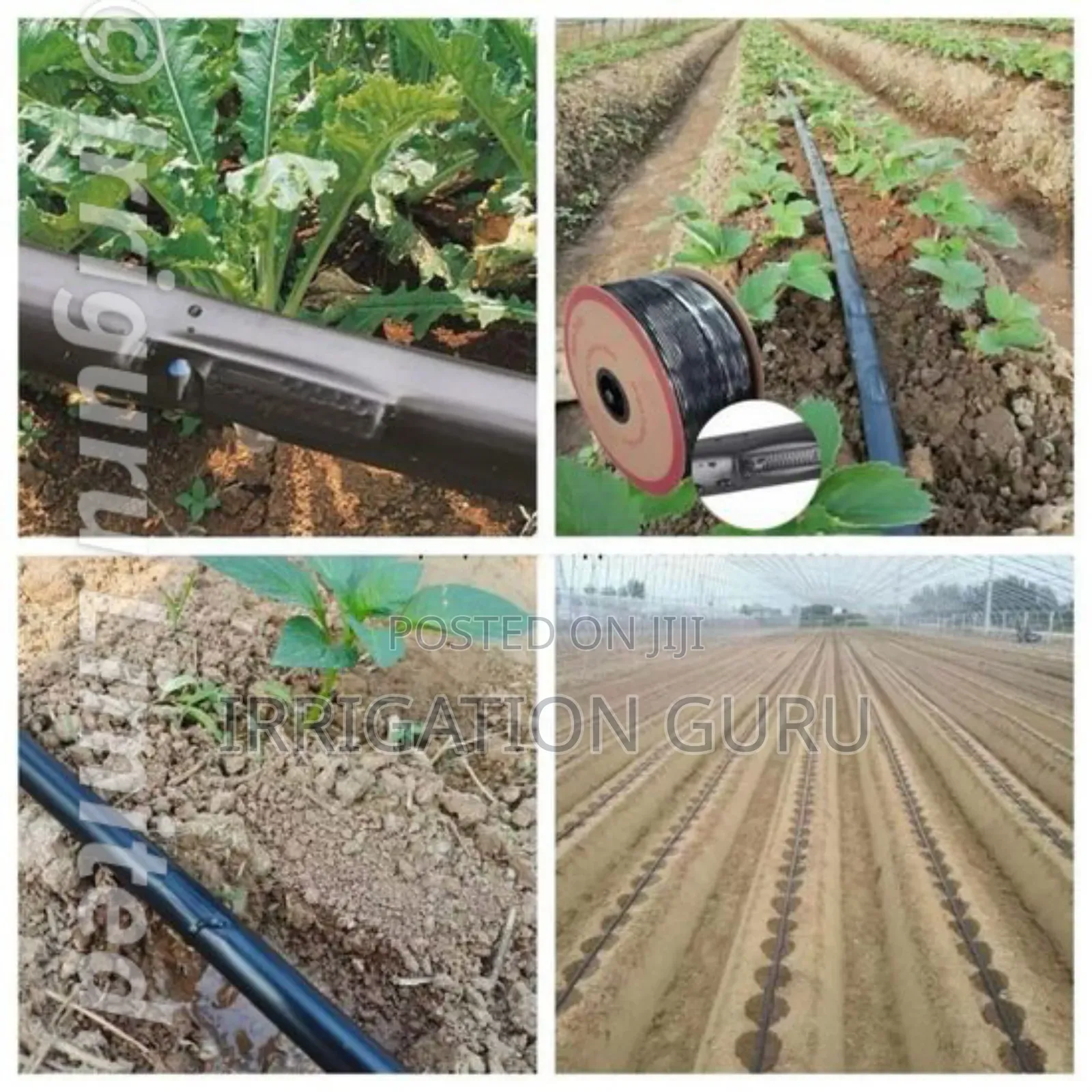 Flat Drip Hose