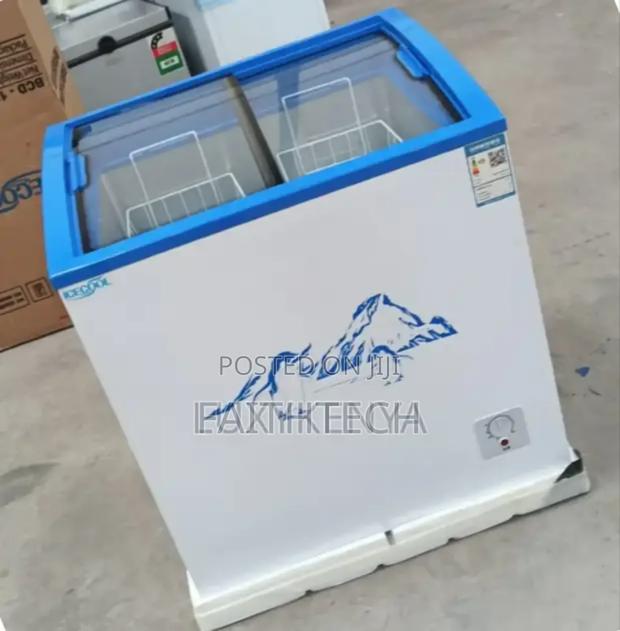 Ecomax 159litres Display Deep Freezer