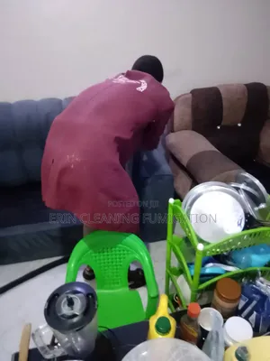 Full House Fumigation Sofaset Cleaning