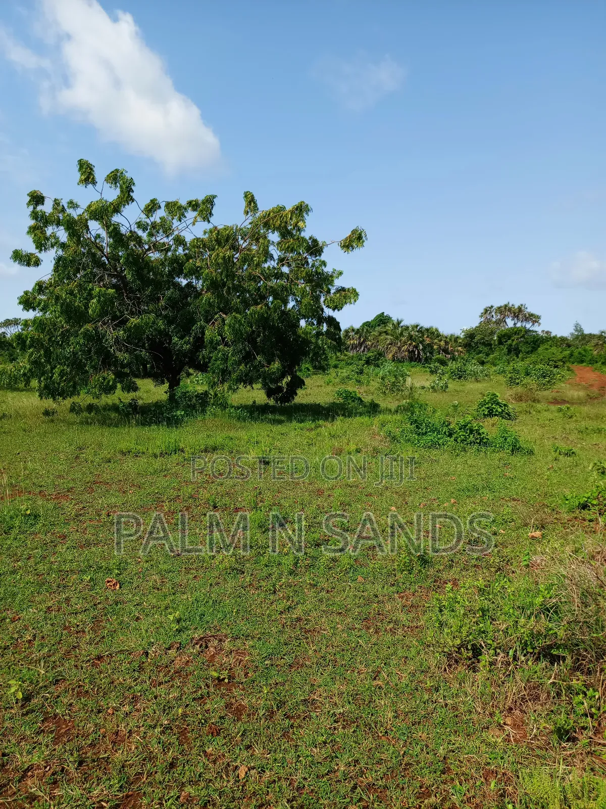 One Acre on Sale in Sandy Galu Diani