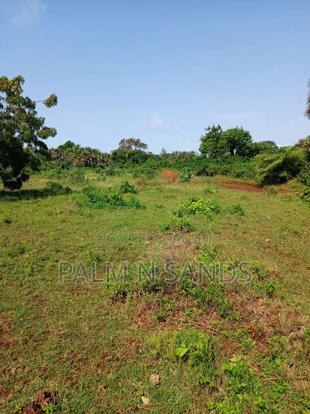 One Acre on Sale in Sandy Galu Diani - thumbnail 7