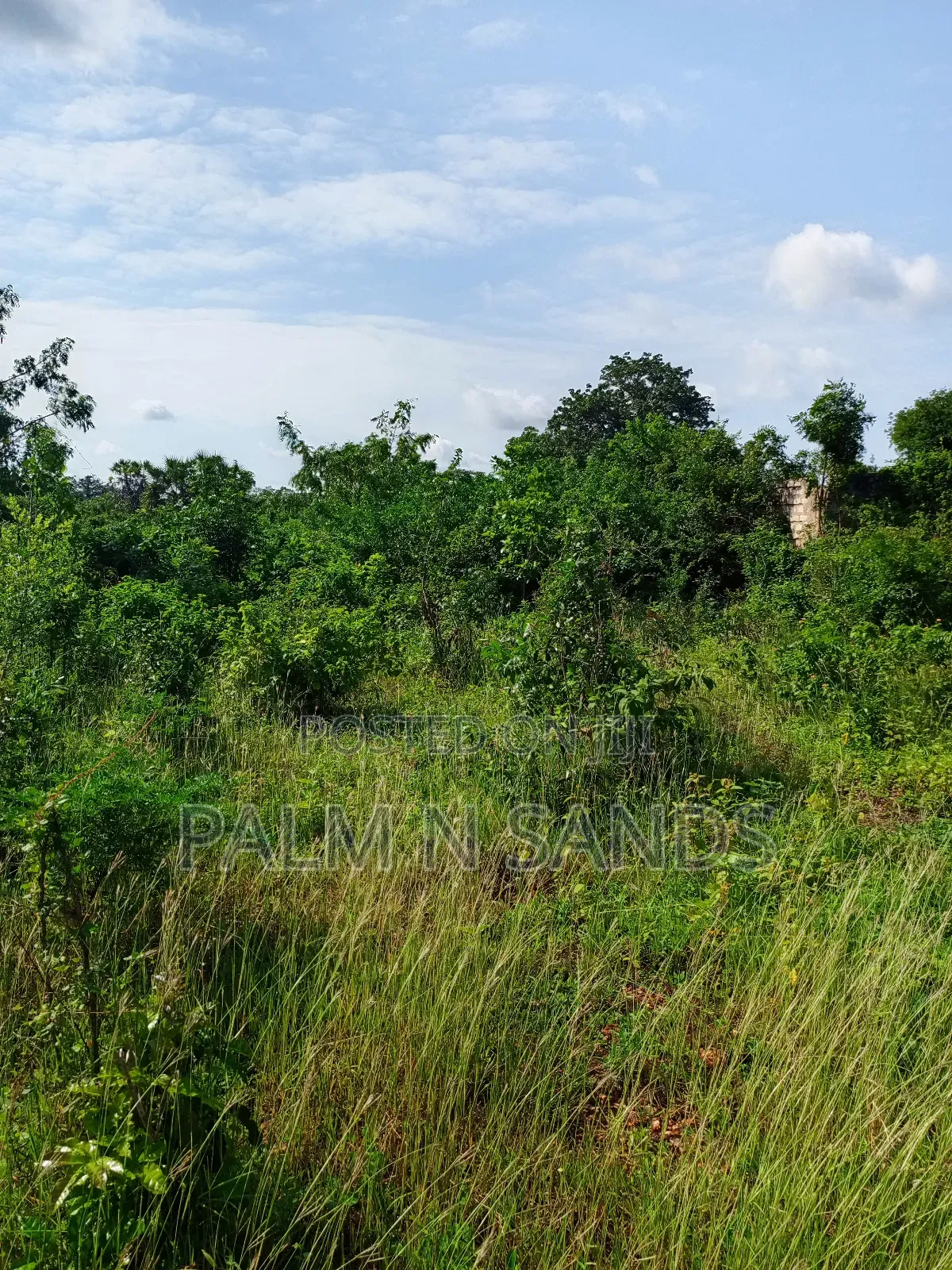One Acre on Sale in Sandy Galu Diani