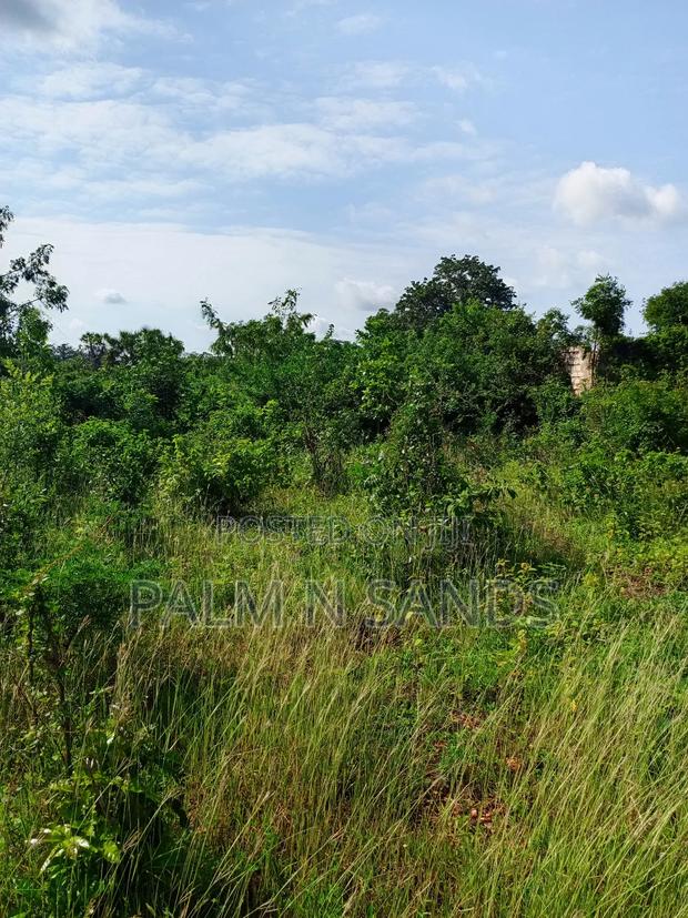 One Acre on Sale in Sandy Galu Diani - thumbnail 8