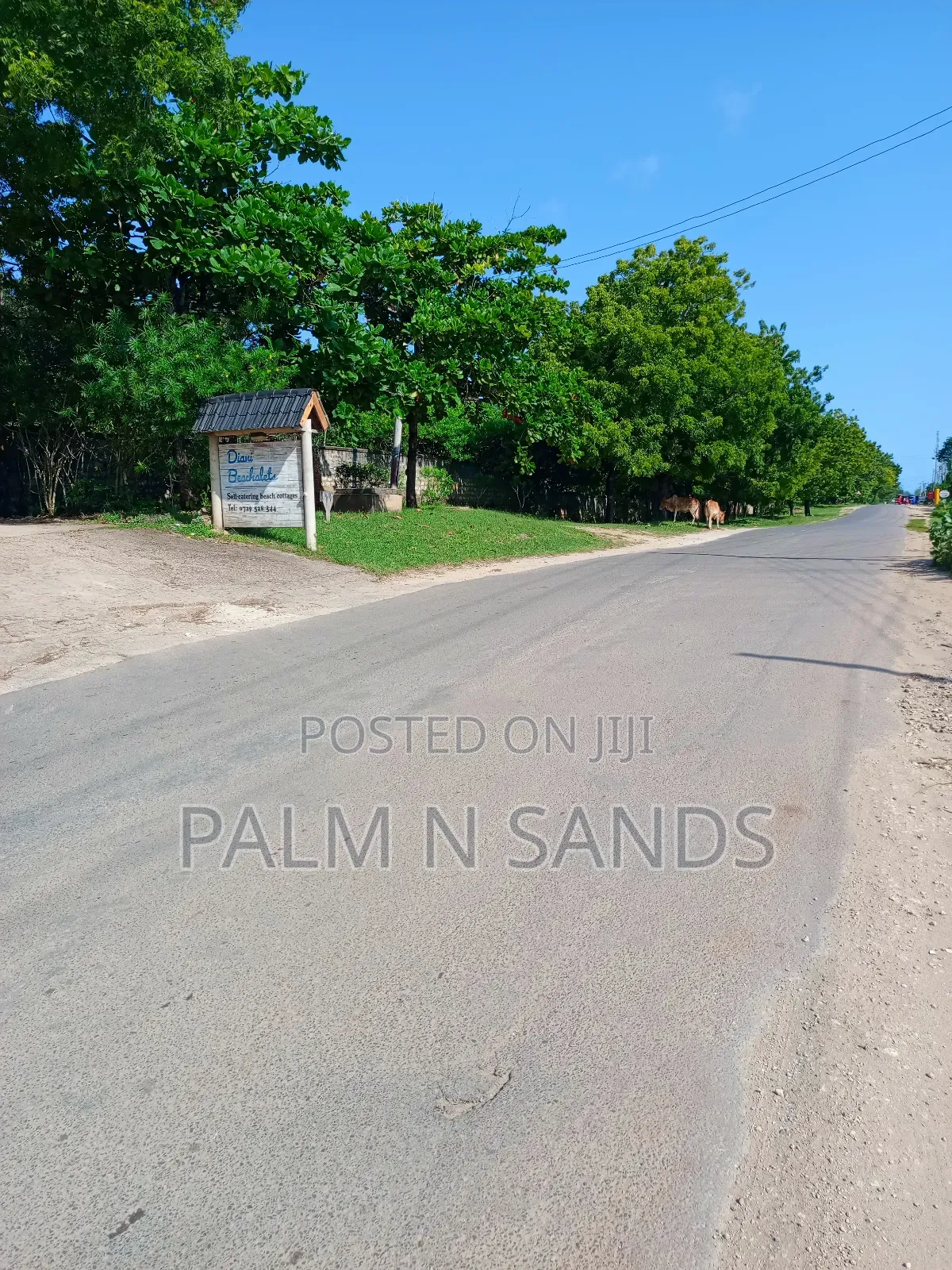 3.1 Acres Touching Diani Beach Road on Sale!