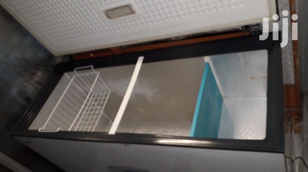 450 Litres Deep Freezer - main view