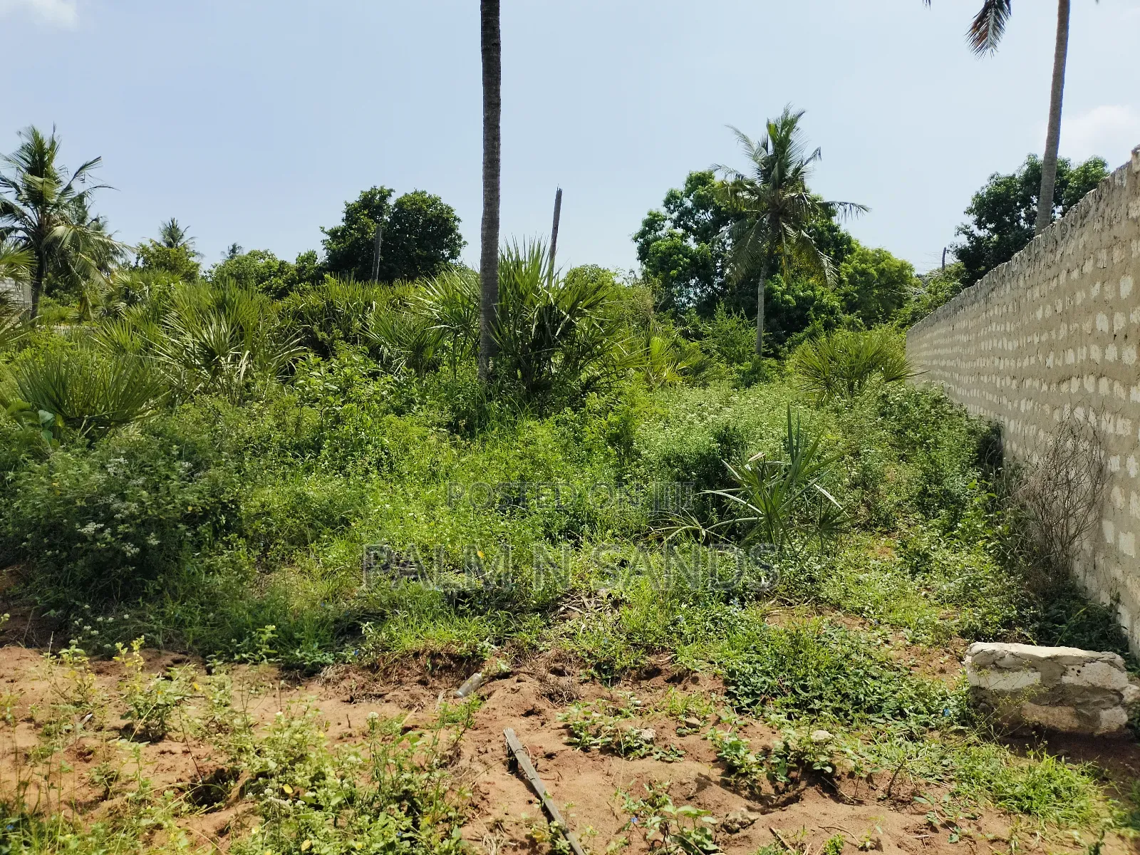 1/4 Acre on Sale in Diani Kwale!