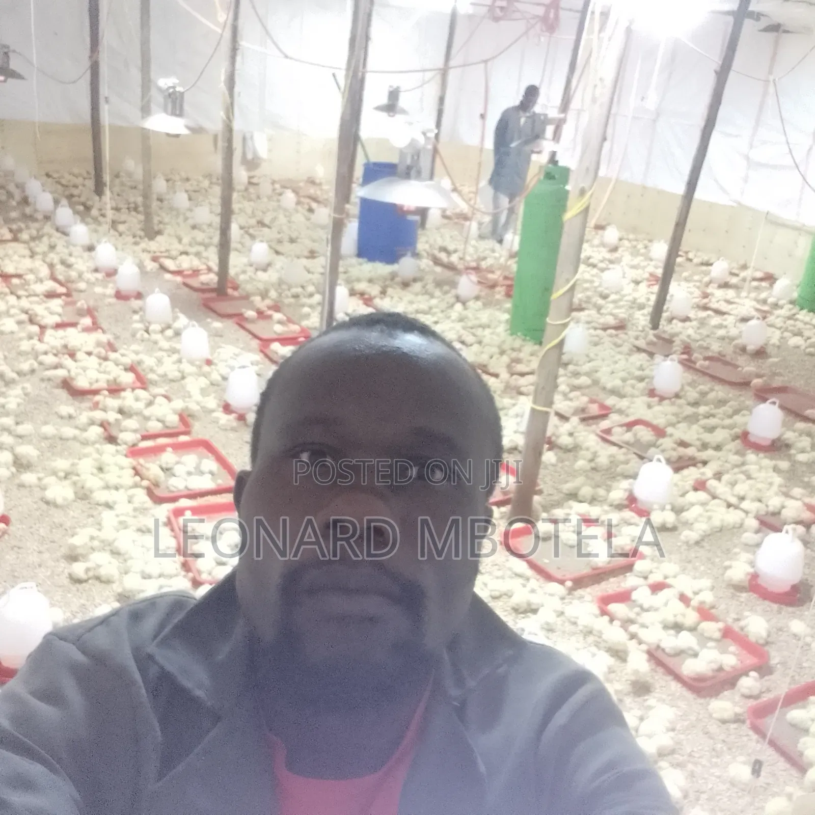 Animal Management