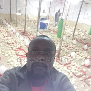 Animal Management