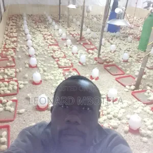 Animal Management