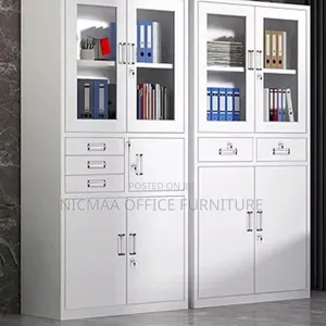 Secure Glass Filing Cabinet With Adjustable Shelves