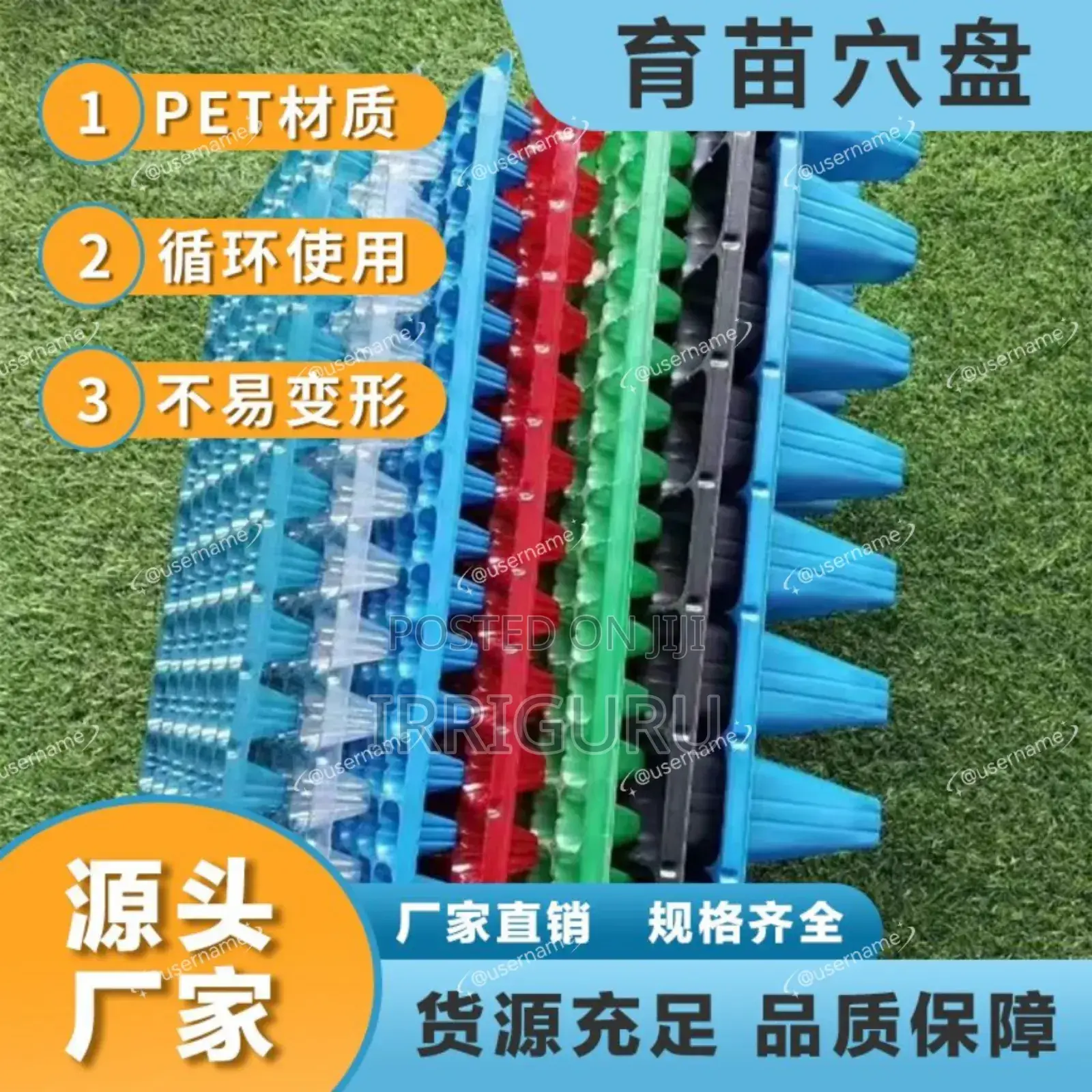 Seed Trays