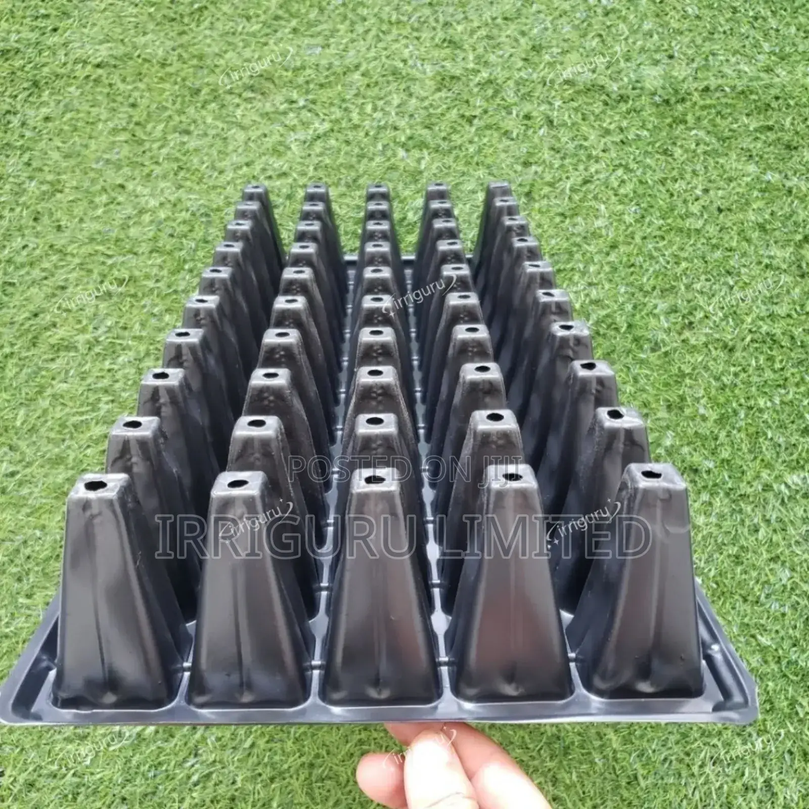 Green Start Trays
