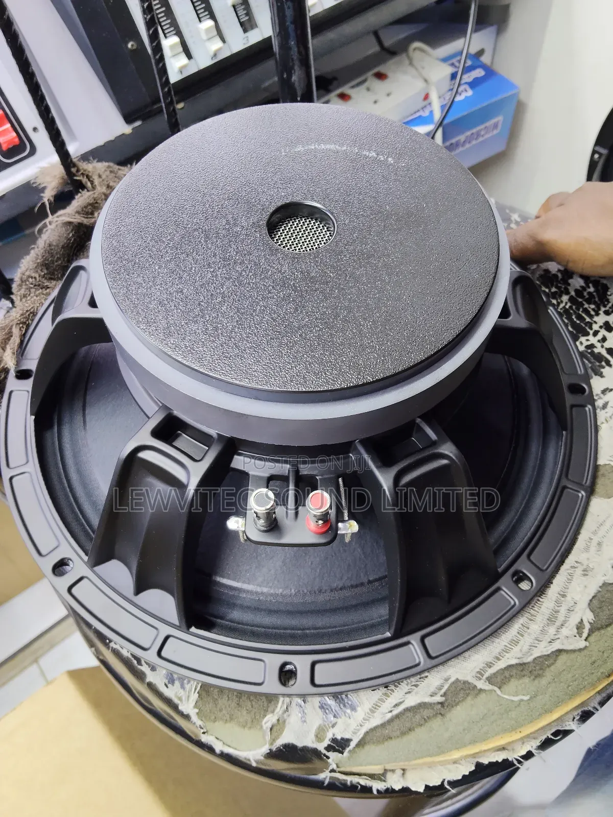 Heavy 12 Inch Naked Speaker