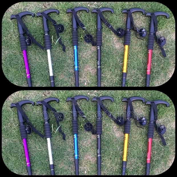 Ant Shock Trekking Walking Stick - main view