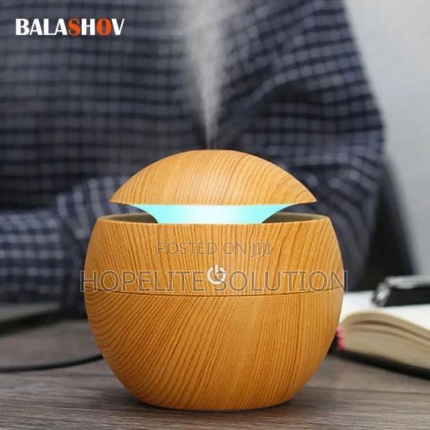 Mushroom Humidifier