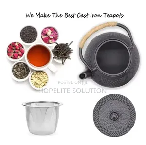 Cast Iron Japanese Tea Pot