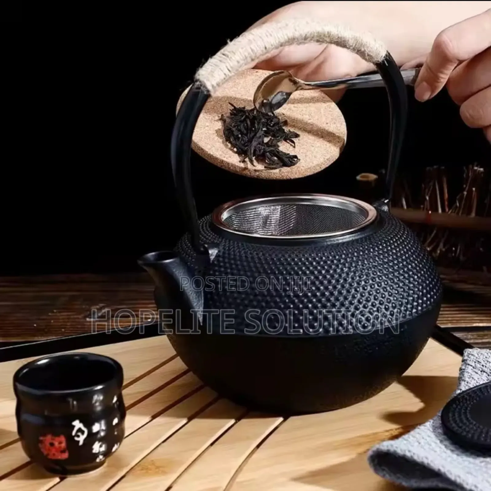 Cast Iron Japanese Tea Pot